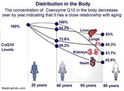 coQ10 possible link to aging 